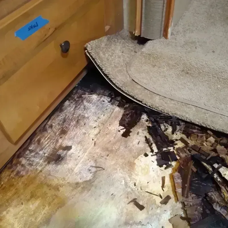 Wood Floor Water Damage in Albertville, MN